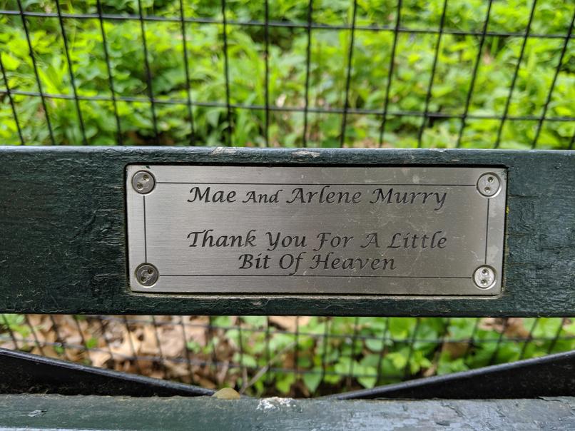 I saw this bench in Central Park