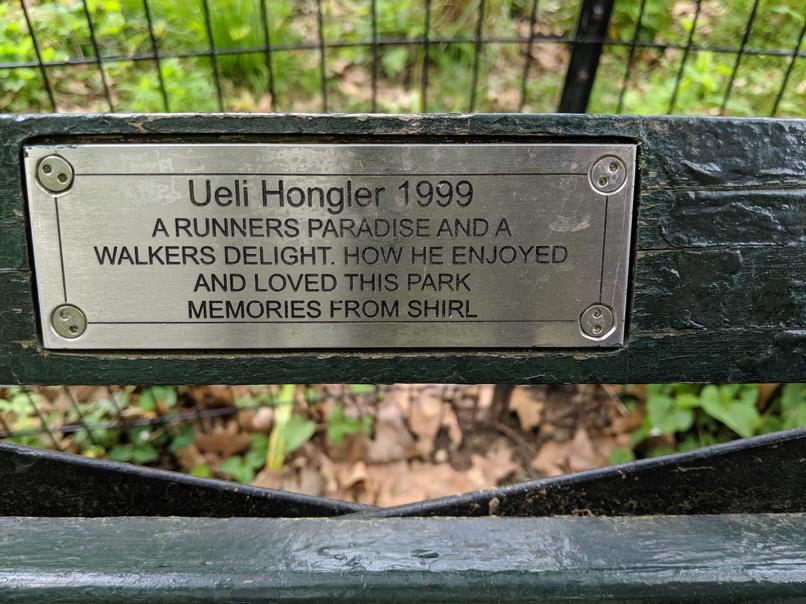 I saw this bench in Central Park