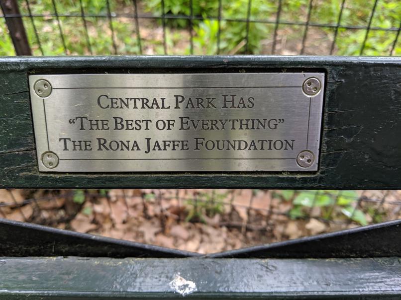 I saw this bench in Central Park