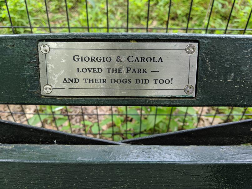 I saw this bench in Central Park