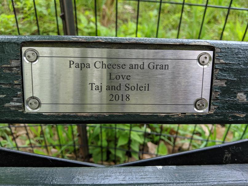 I saw this bench in Central Park