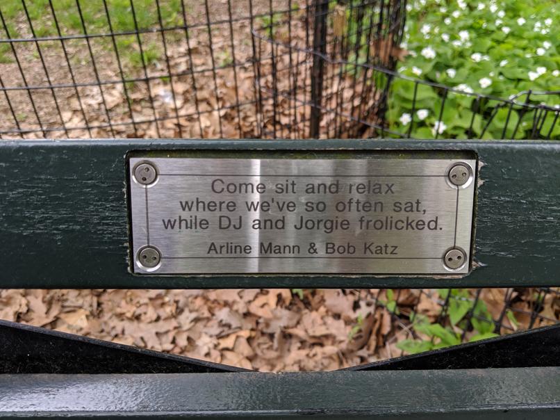 I saw this bench in Central Park