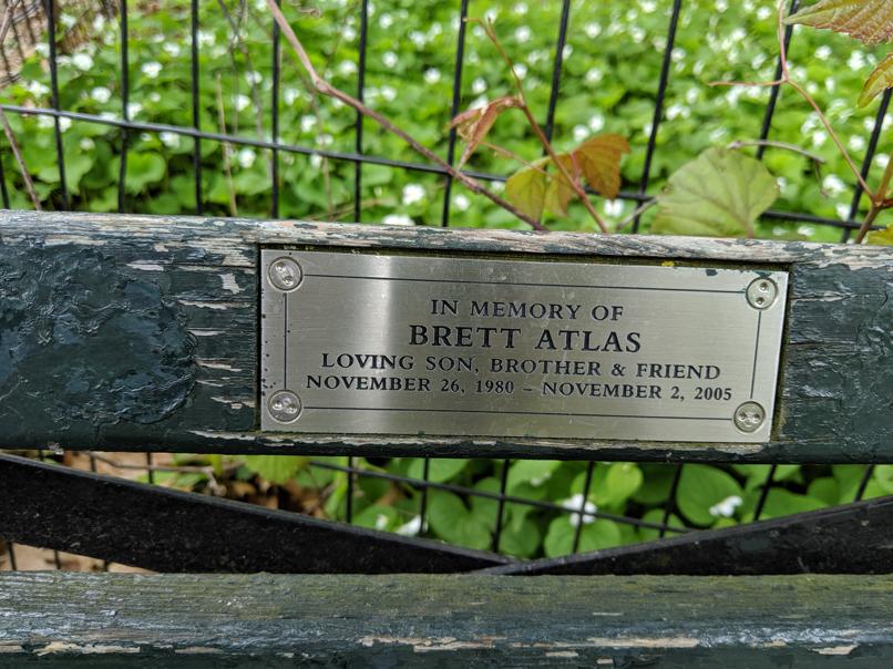 I saw this bench in Central Park