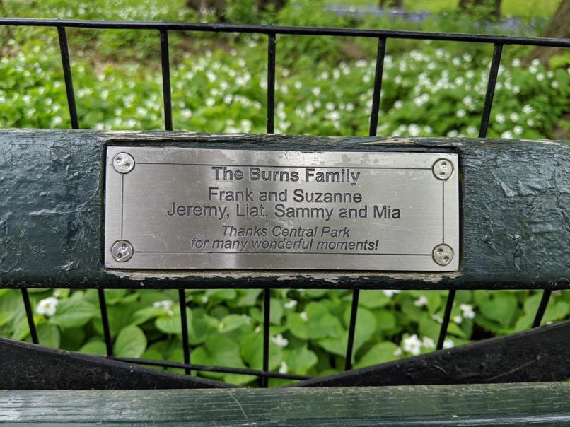 I saw this bench in Central Park