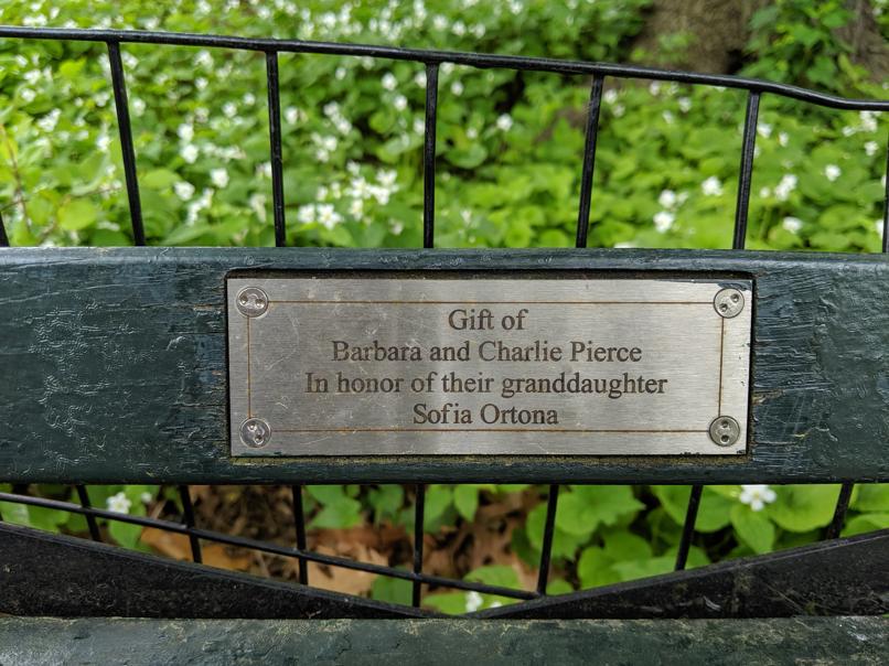 I saw this bench in Central Park