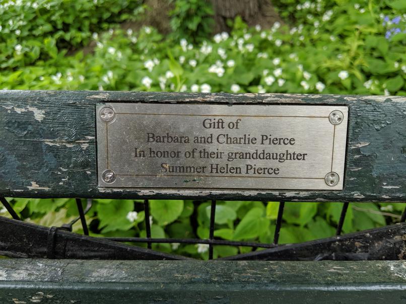 I saw this bench in Central Park