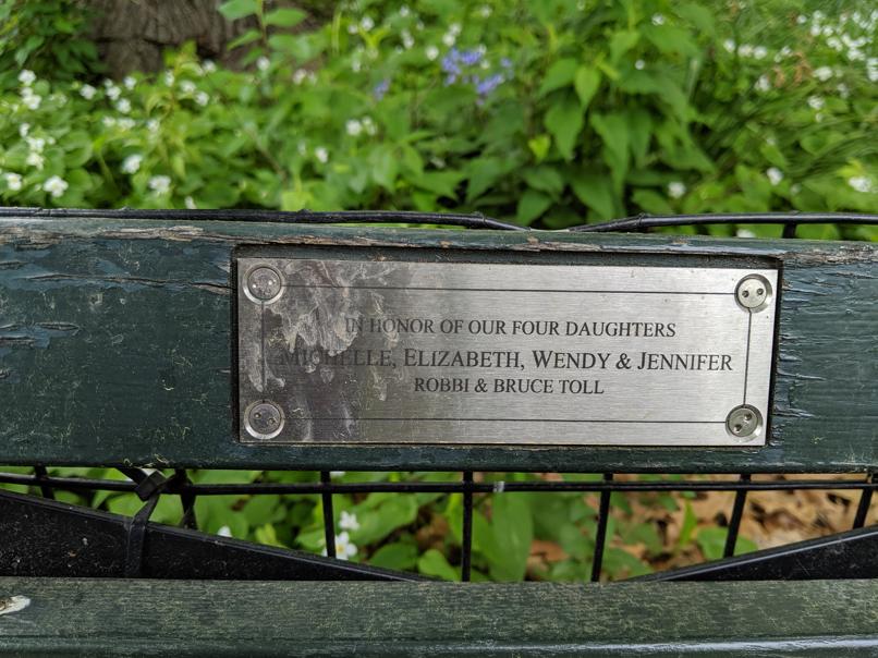 I saw this bench in Central Park