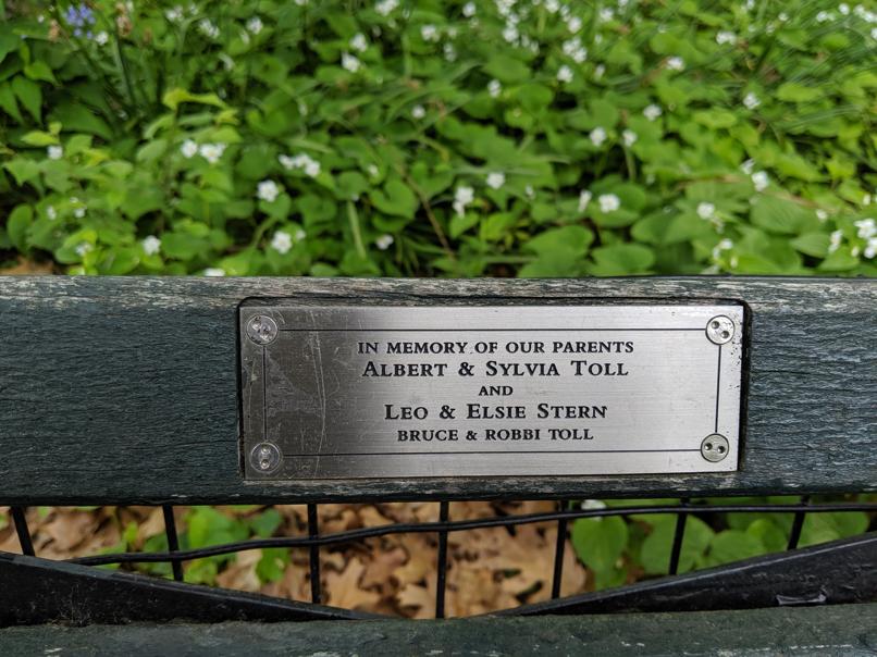 I saw this bench in Central Park