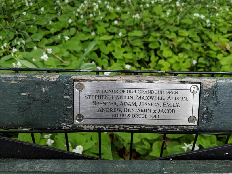 I saw this bench in Central Park