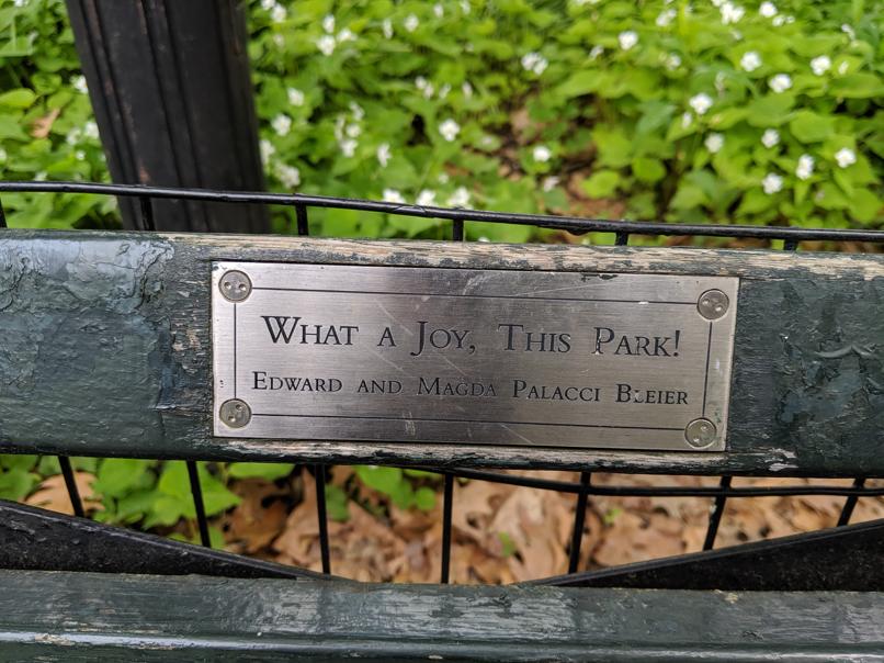 I saw this bench in Central Park