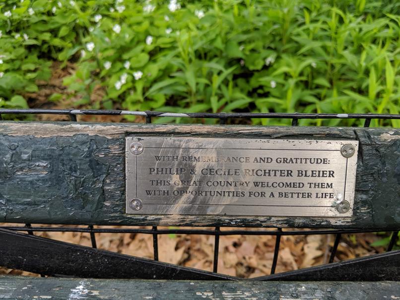 I saw this bench in Central Park