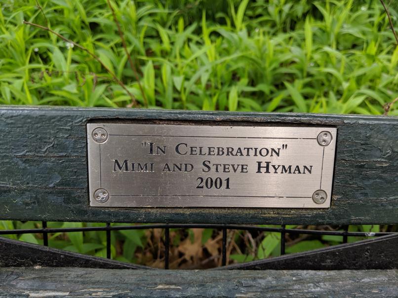 I saw this bench in Central Park