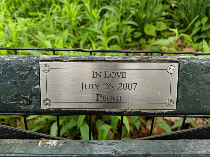 I saw this bench in Central Park