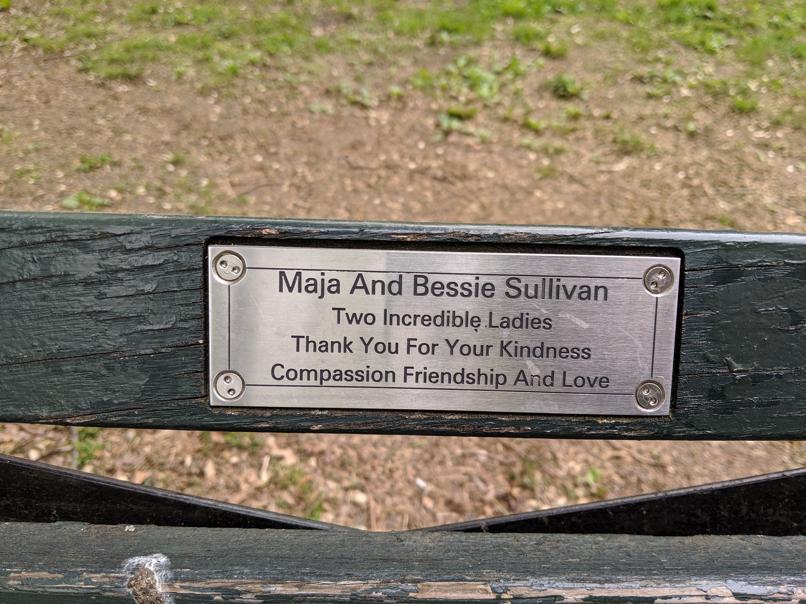 I saw this bench in Central Park