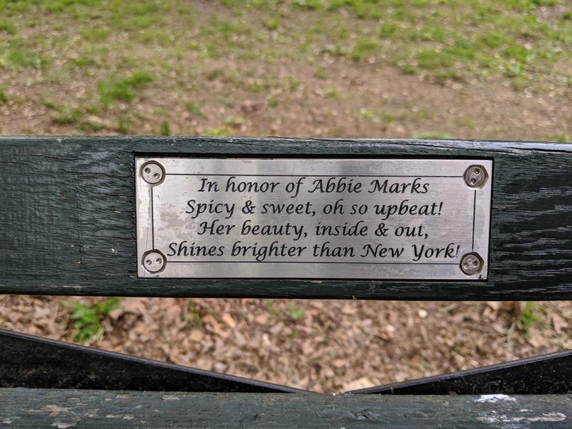 I saw this bench in Central Park