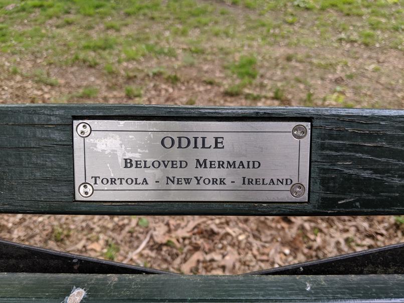 I saw this bench in Central Park