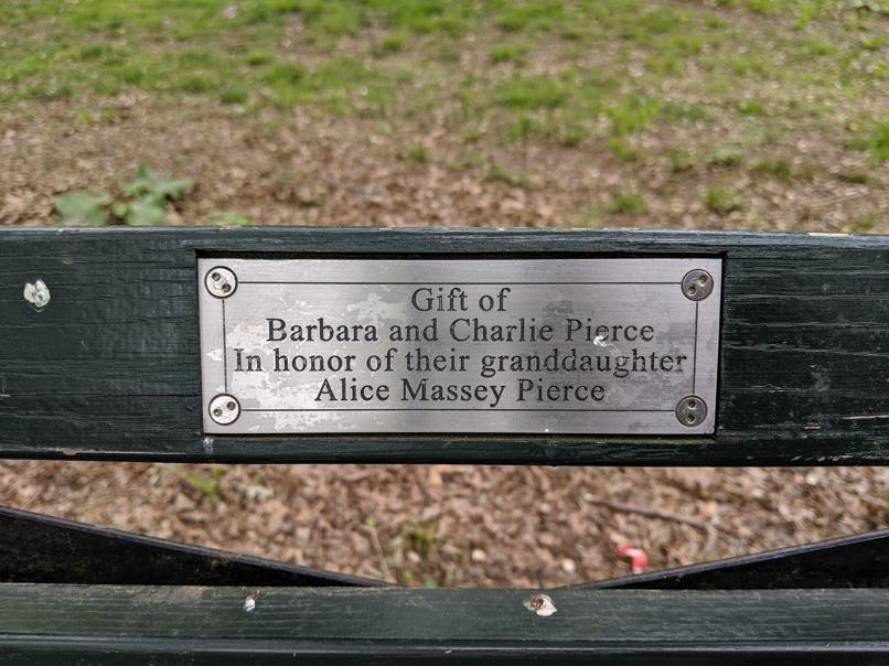 I saw this bench in Central Park