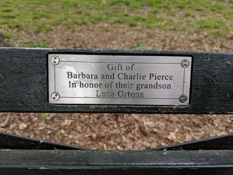 I saw this bench in Central Park