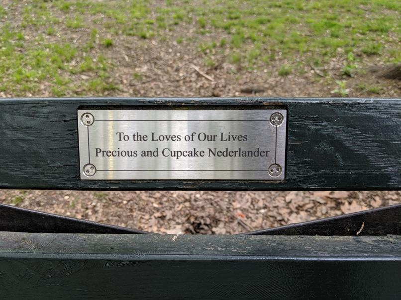 I saw this bench in Central Park