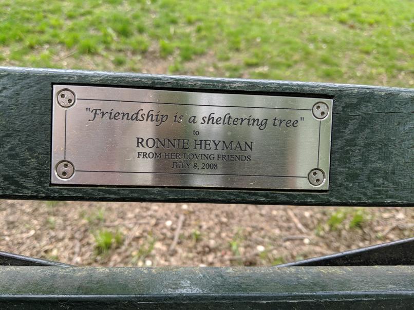 I saw this bench in Central Park