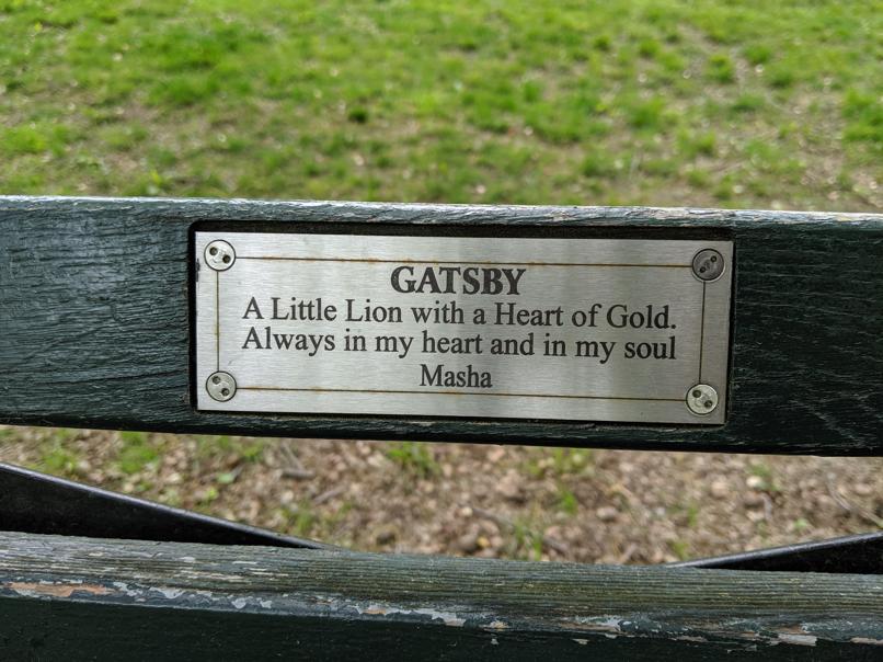 I saw this bench in Central Park