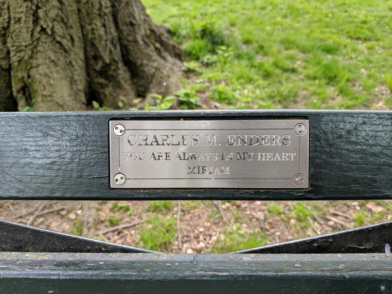 I saw this bench in Central Park