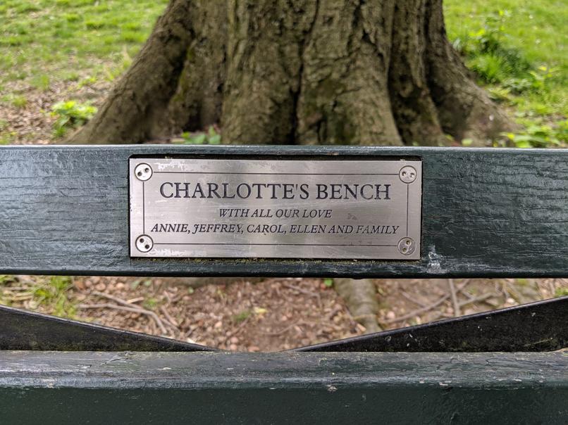 I saw this bench in Central Park