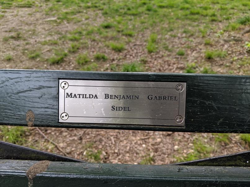 I saw this bench in Central Park