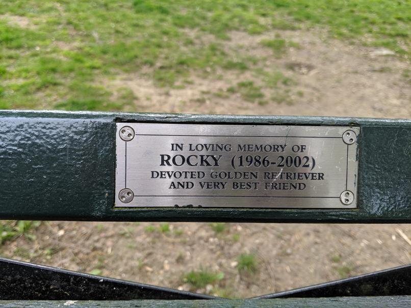 I saw this bench in Central Park