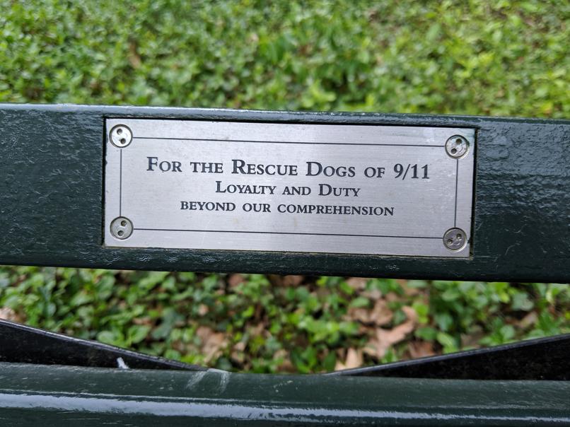 I saw this bench in Central Park