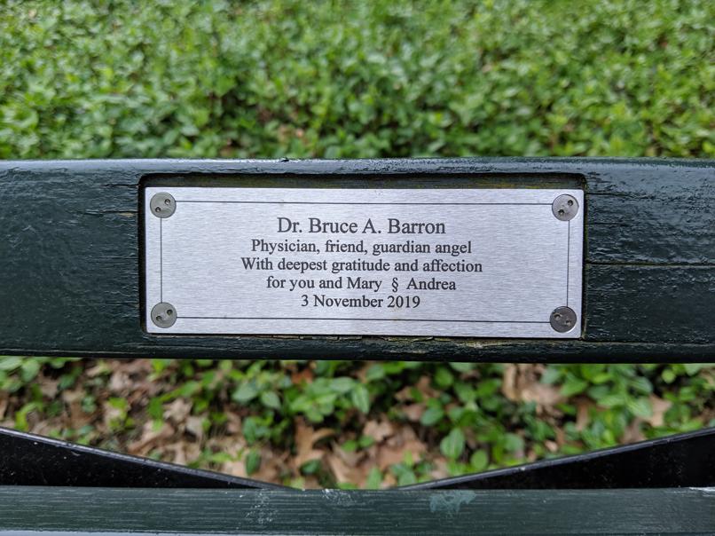 I saw this bench in Central Park