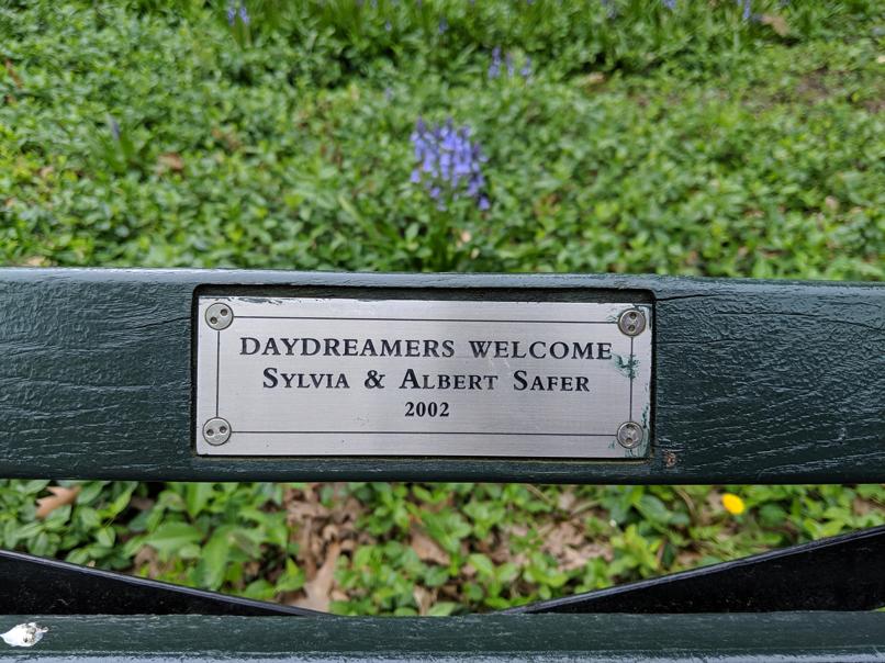 I saw this bench in Central Park