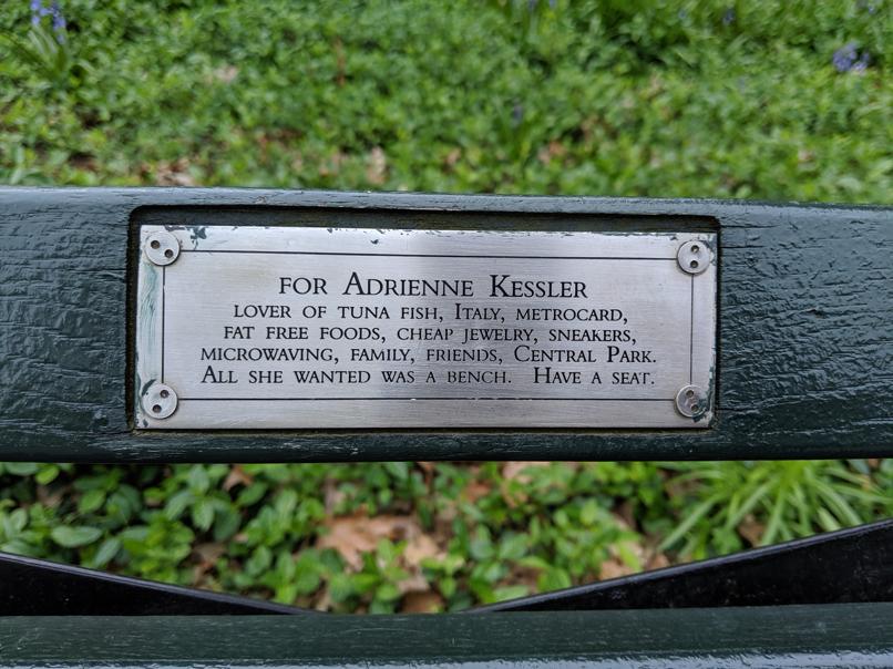 I saw this bench in Central Park