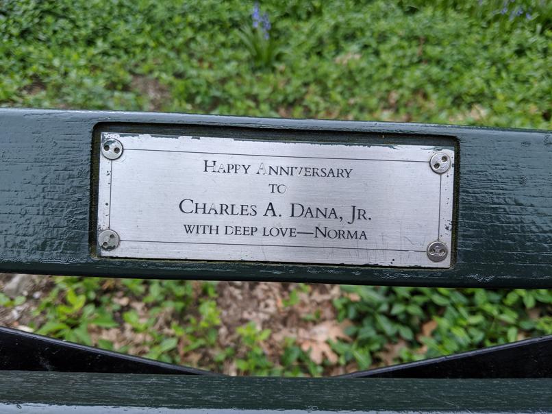 I saw this bench in Central Park