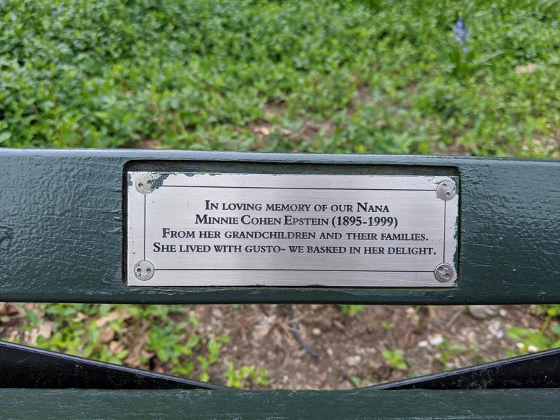 I saw this bench in Central Park