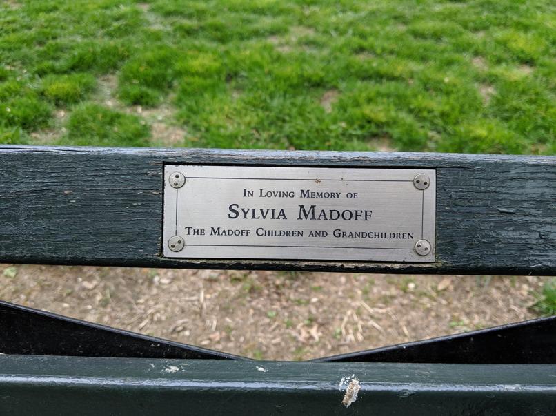 I saw this bench in Central Park