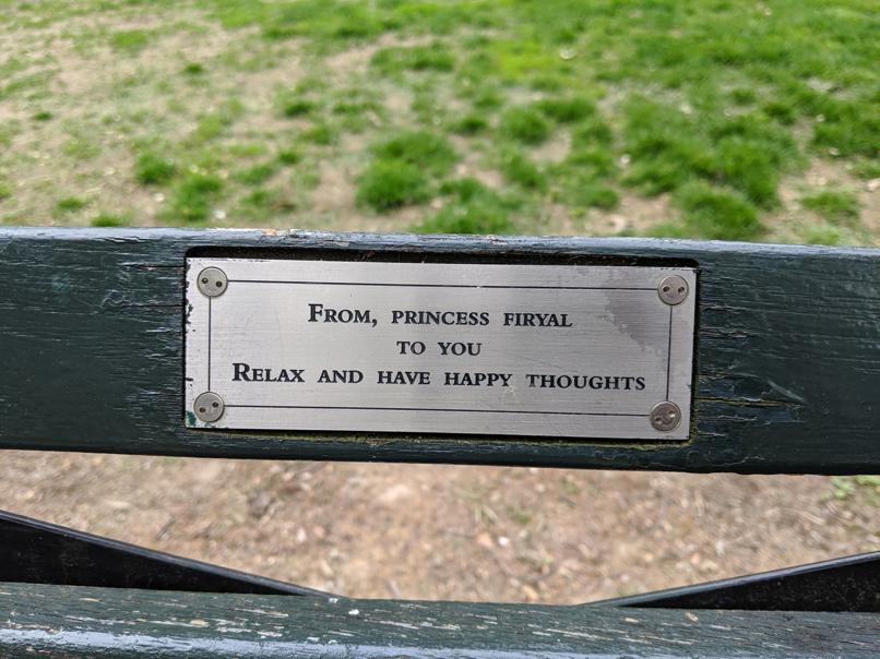 I saw this bench in Central Park