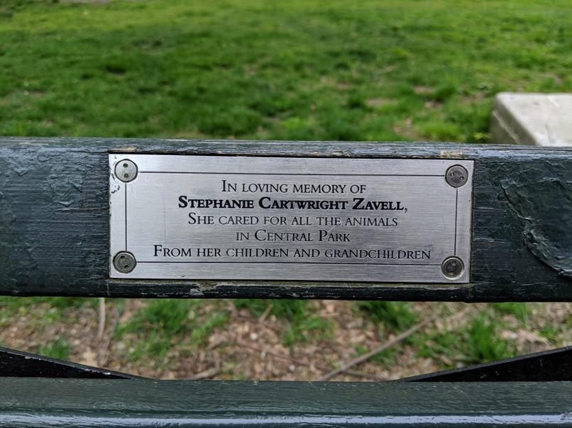 I saw this bench in Central Park