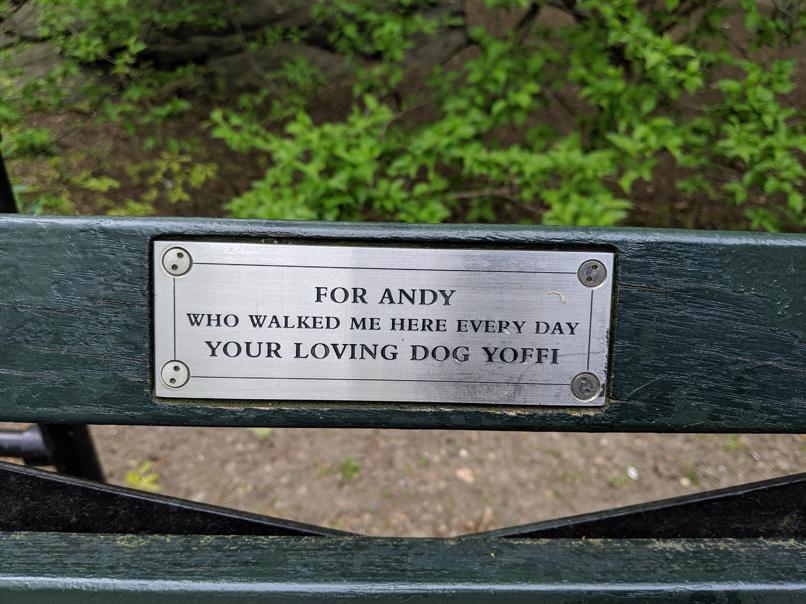 I saw this bench in Central Park