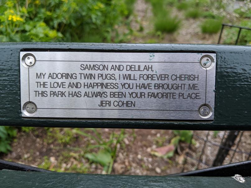 I saw this bench in Central Park