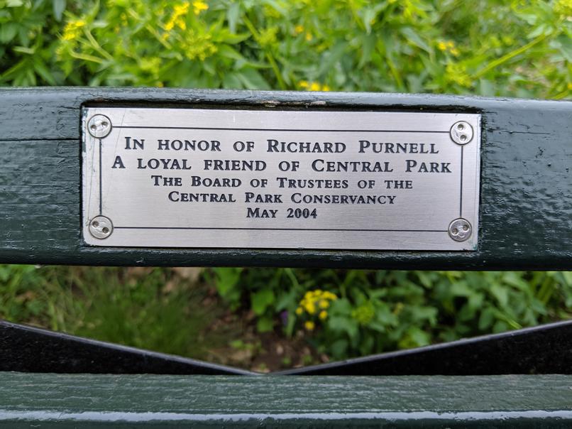 I saw this bench in Central Park