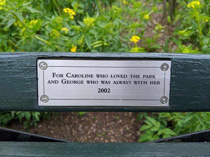 I saw this bench in Central Park