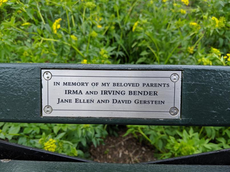 I saw this bench in Central Park