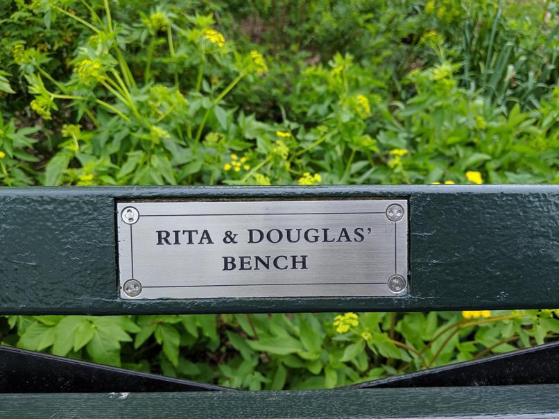 I saw this bench in Central Park