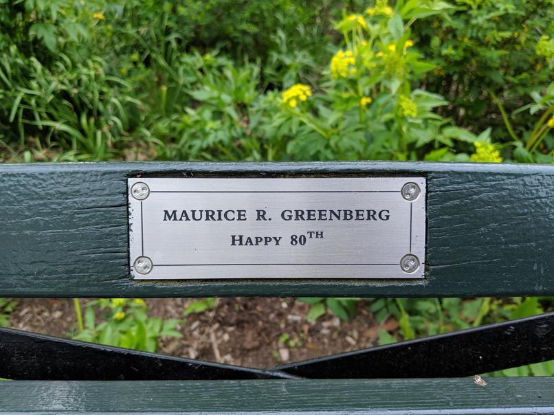 I saw this bench in Central Park