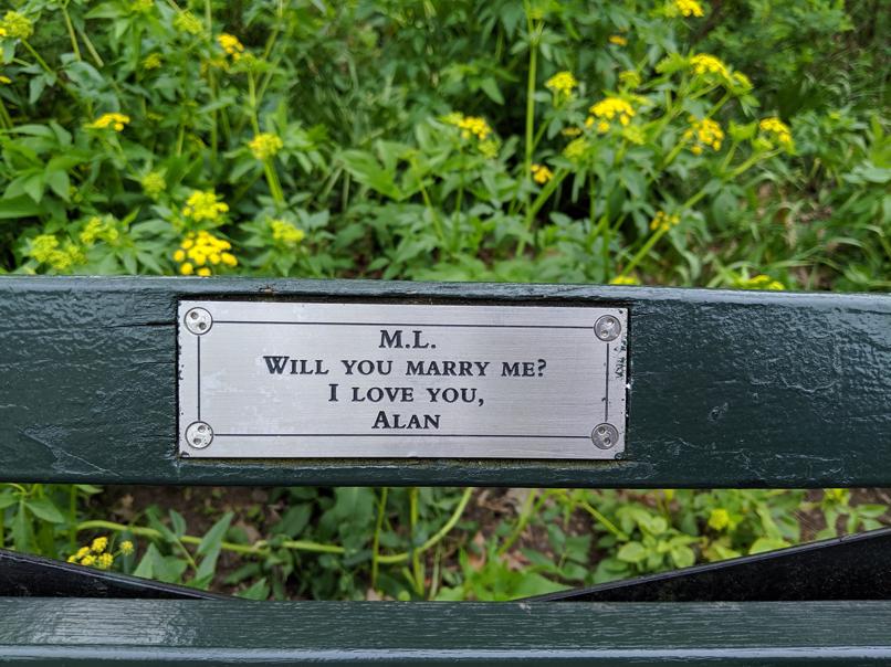 I saw this bench in Central Park