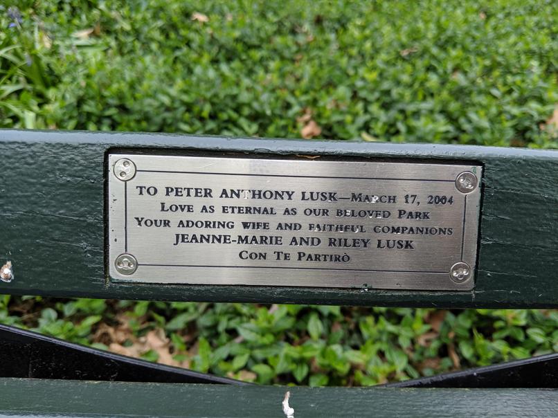 I saw this bench in Central Park