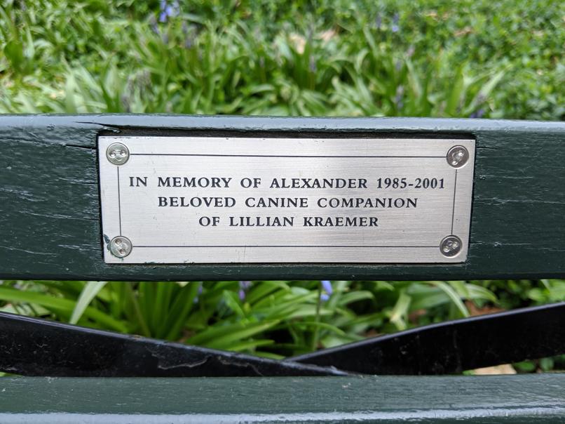 I saw this bench in Central Park