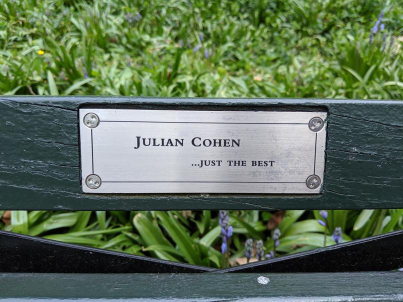 I saw this bench in Central Park