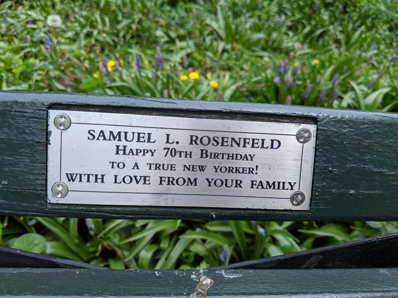 I saw this bench in Central Park